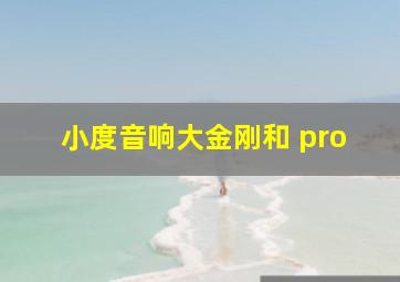 小度音响大金刚和 pro